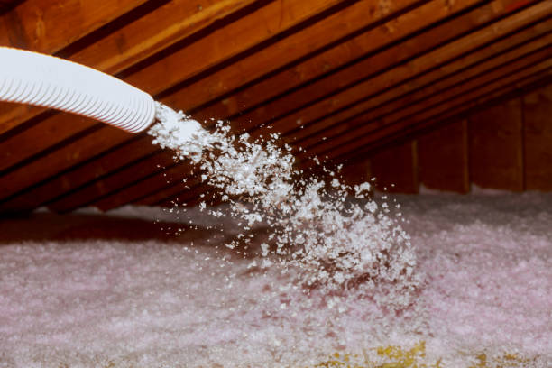 Trusted Daisetta, TX Insulation Contractor Experts