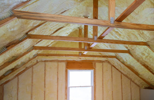 Best Geographic-Specific Insulation Services in Daisetta, TX