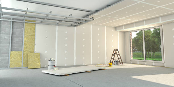 Best Residential Insulation in Daisetta, TX