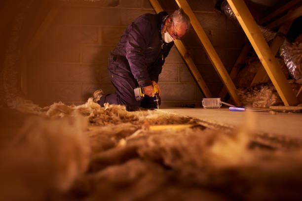 Best Energy Efficiency Insulation in Daisetta, TX